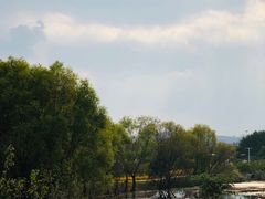 -东水关遗址公园