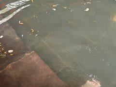 -西安国际创新人才交流中心•药浴温泉
