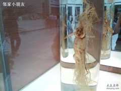 -广州中医药大学第一附属医院(总院)