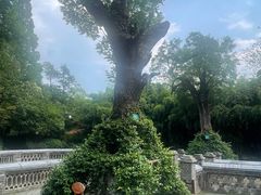 -习家池