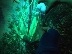 -曼谷杜莎夫人蜡像馆