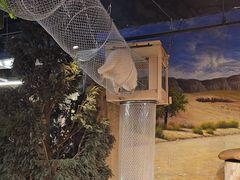 -正佳雨林生态植物园