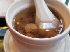 杂菌炖瘦肉-墨白私房菜·广东菜 粤菜