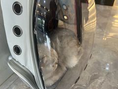 -贝康宠物医院·犬猫全科·小动物特色诊疗中心(东环路店)
