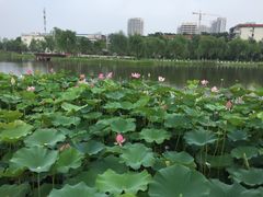 -西海子公园
