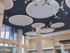 -盐城丹顶鹤湿地生态旅游区