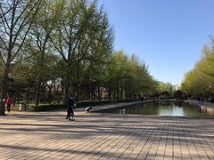 -玲珑塔公园