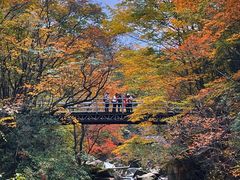 -光雾山旅游景区