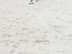 -哈尔滨热雪奇迹