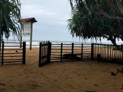 景观位-Green Lobster Waskaduwa Seafood Restaurant