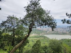 -风云岭森林公园