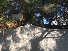 -乌山风景区
