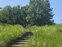 -翠湖国家城市湿地公园