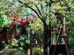-The Grounds of Alexandria