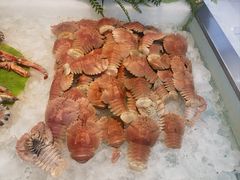 -春华海鲜城(广场西苑店)