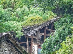 -高荡千年布依古寨旅游景区