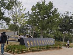 -秦始皇帝陵博物院-丽山园