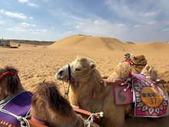 -银肯塔拉沙漠生态旅游景区