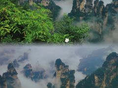 -业华湘·特色菜