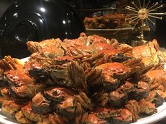 -五月罗马海鲜自助餐厅(陆家嘴店)