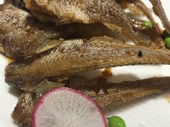 -新吉士·上海菜(浦东LCM置汇旭辉店)