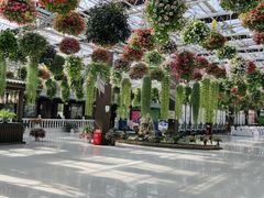 -常州花鸟园酒店(西太湖品牌优选店)