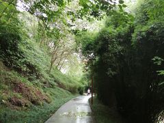 -重庆彩云湖湿地公园