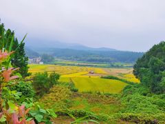 -大余丫山旅游度假区