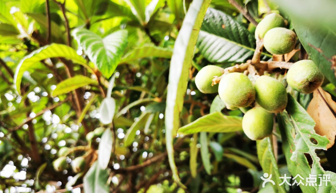 去滴水湖玩最大的麻烦事是吃饭，真的基本没有选择