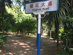 -武汉大学-樱园