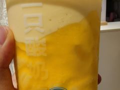 -一只酸奶牛(时代天街A馆店)