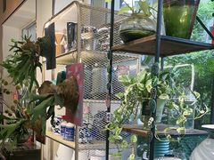 -弗劳尔花艺坊(龙涛店)