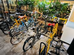 -大视光学•LINDBERG林德伯格•全球手工眼镜集合店(王府井店)