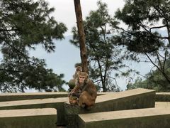 -重庆雨台山风景区