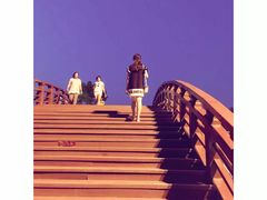 -桃花岛公园