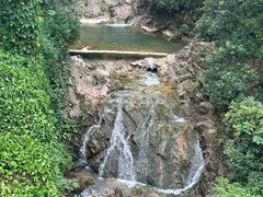 -南海湾森林生态园