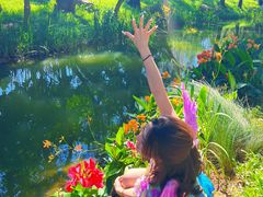 -人民公园(罗湖区)