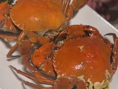 -顺轩海鲜火锅酒家