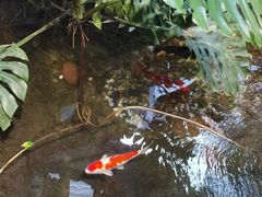 -聚缘堂·海鲜私房菜(松岭路店)