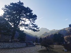 -秦岭终南山世界地质公园翠华山景区