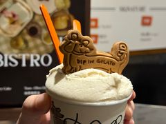 -Dip in Gelato(富民路店)