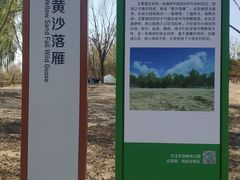 -东郊湿地公园