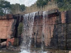 -宜兴龙背山森林公园