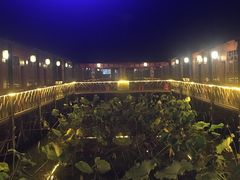 -军山湖云水间水上餐厅(进贤店)