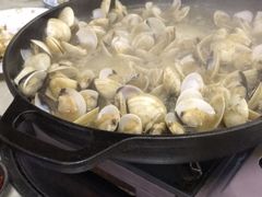 -顺德哥卜卜贝(旗舰店)