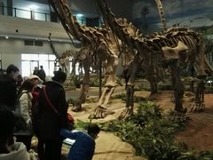 -自贡恐龙博物馆