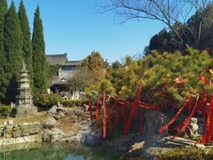 -徐州龟山景区