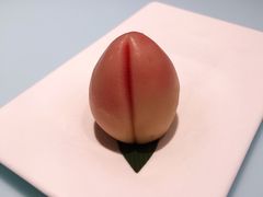 -青山研究所Aoyama Lab