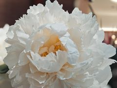 -友谊阳光城