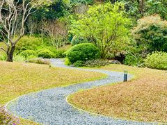 -云溪植物园